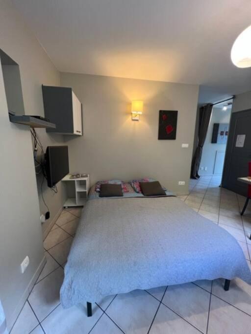Le Fsi .Confort*Wifi*Parking*Ski - Cure Thermale-Les Lodges De Sandrine La Lechere Luaran gambar