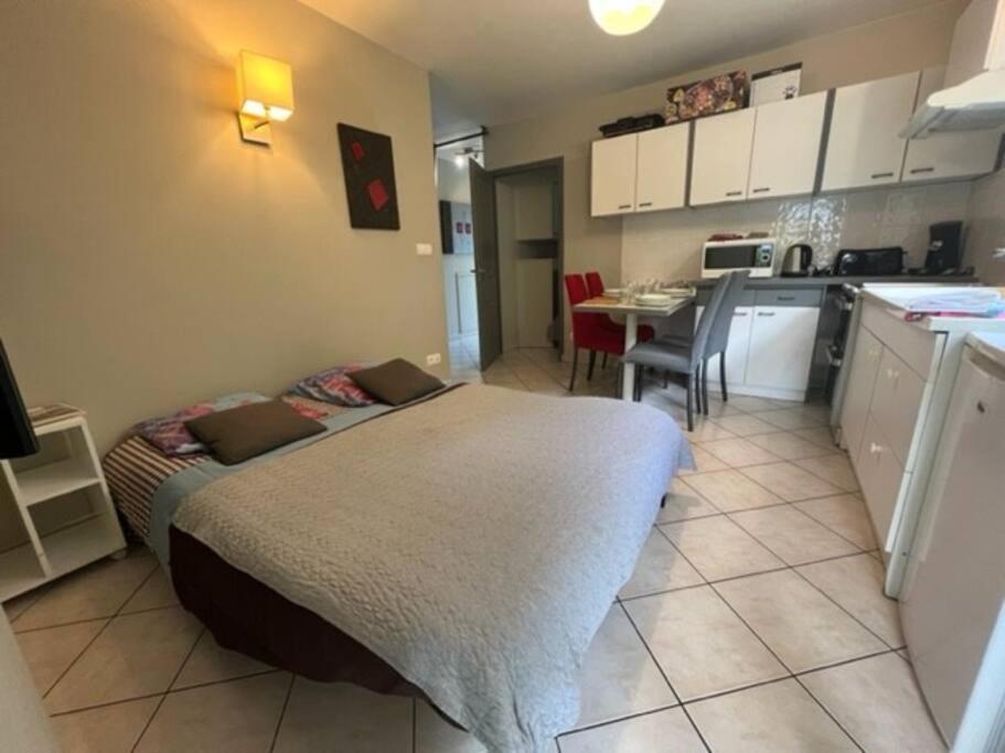 Le Fsi .Confort*Wifi*Parking*Ski - Cure Thermale-Les Lodges De Sandrine La Lechere Luaran gambar